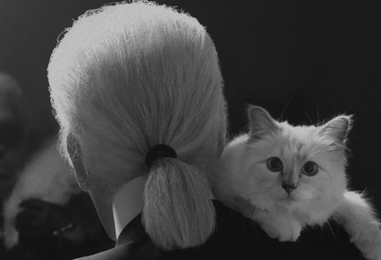 Les animaux de compagnie : de vrais accessoires de mode