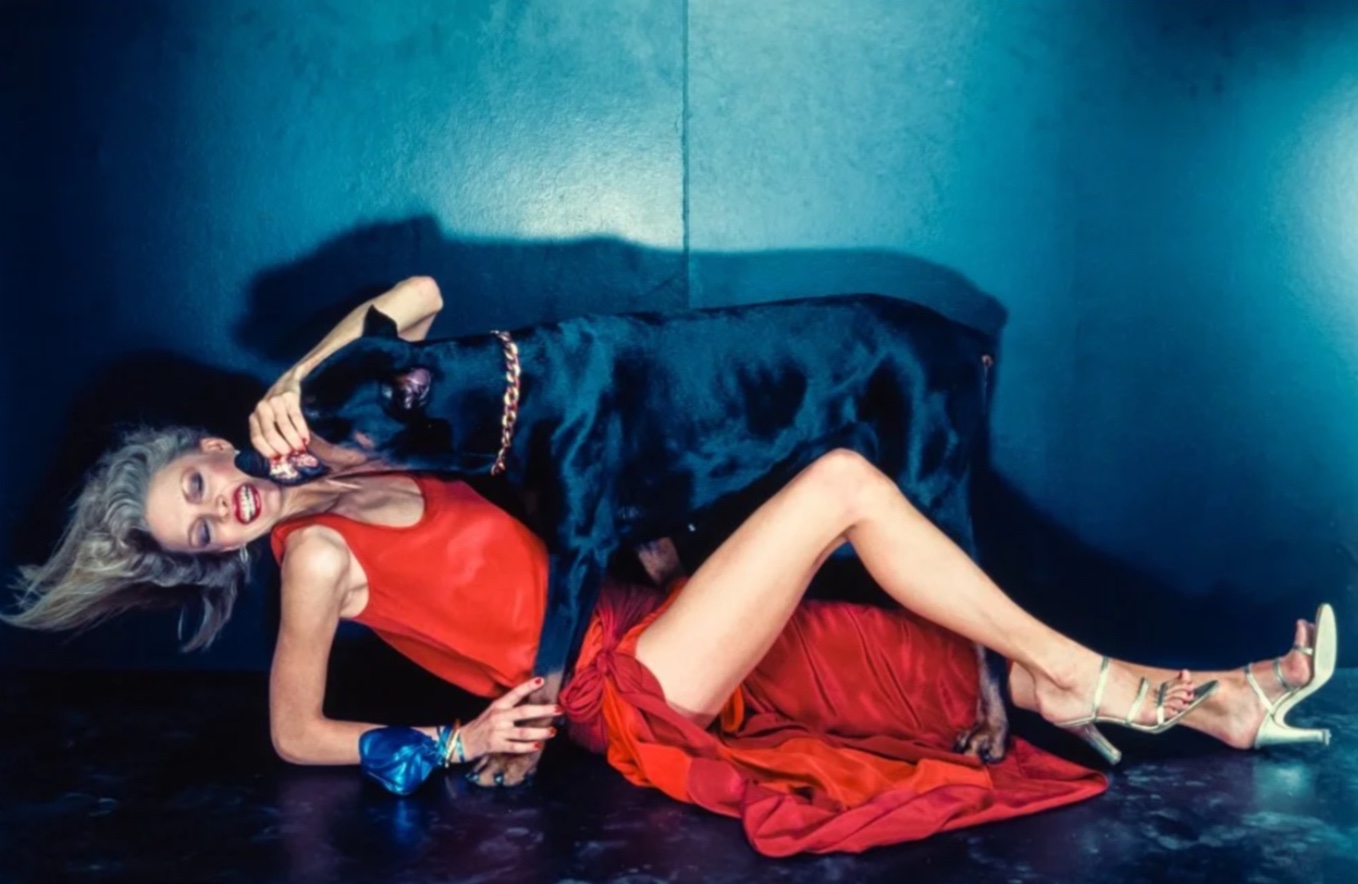 Derrière ces animaux, des alumni de Lyon 2