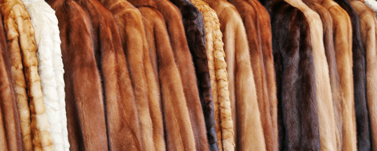 Dédiaboliser les matières d’origine animale